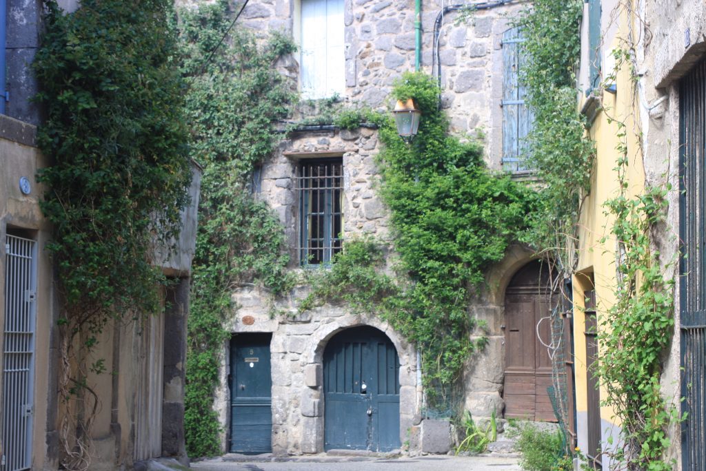 Blick in einen Innenhof mit rankenden Pflanzen an den Hausmauern