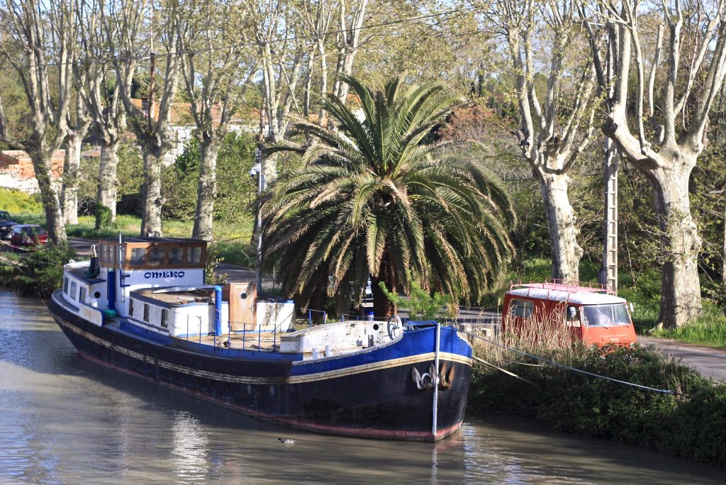 Boot mit Palme
