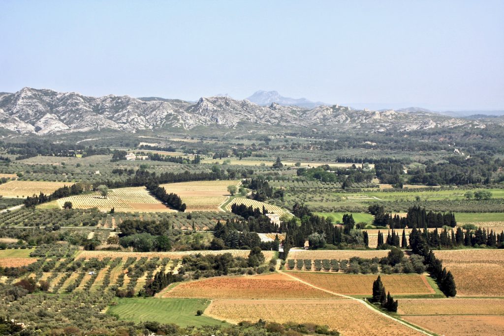 Felder, Olivenbäume und im Hintergrund die Kalksteinkette les Alpilles