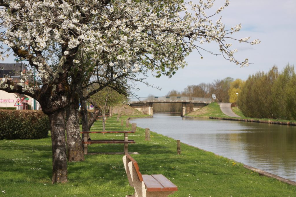 Blick auf einen Kanalabschnitt mit blühendem Apfelbaum am Ufer