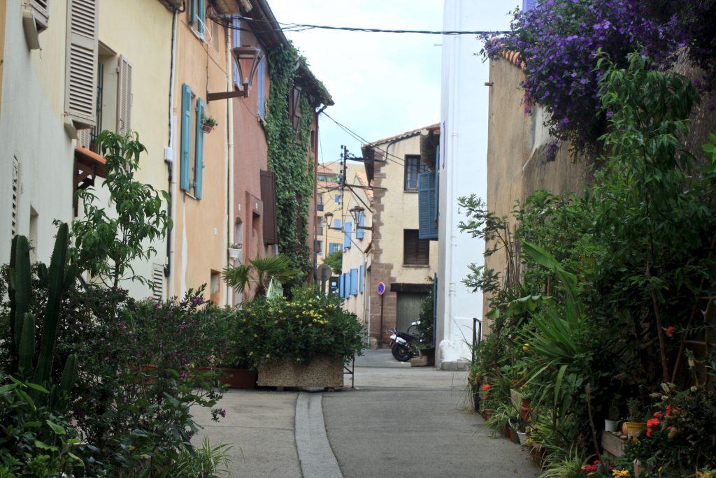 Gasse in Fréjus mit bewachsenen Häuserfronten und Pflanzenkübeln