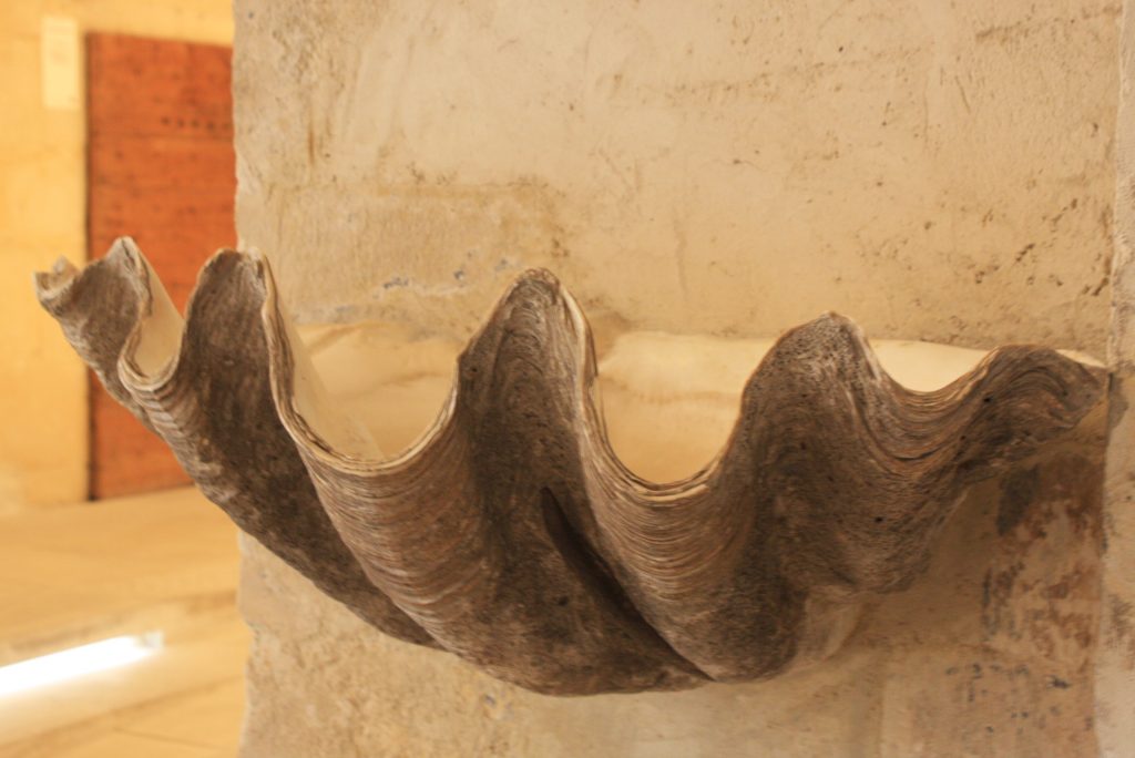 Echte Riesenmuschelschale als Weihwasserbecken