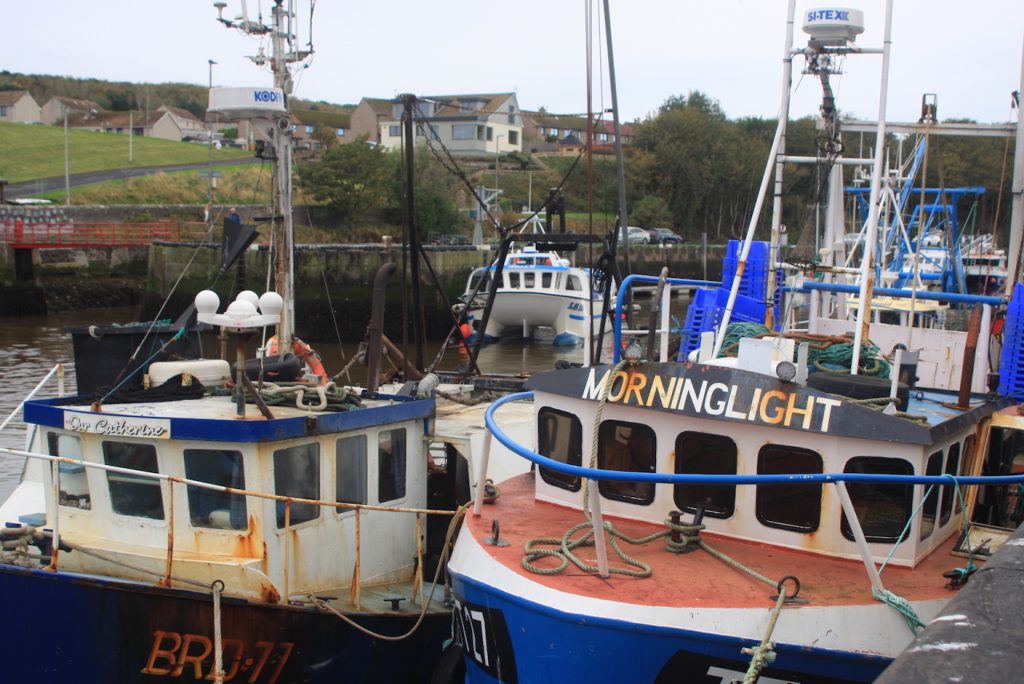 Zwei Fischerboote im Hafen vor Anker